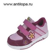  Antilopa  24331-2101
