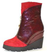  Oleksa  Astra_red