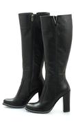 Сапоги Shoe Qwix 320_3 Сапоги Shoe Qwix 320_3