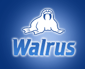 Walrus 