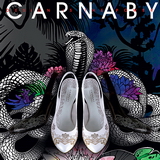 руcский бренд карнаби carnaby