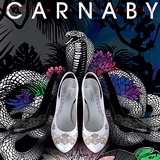 c   carnaby